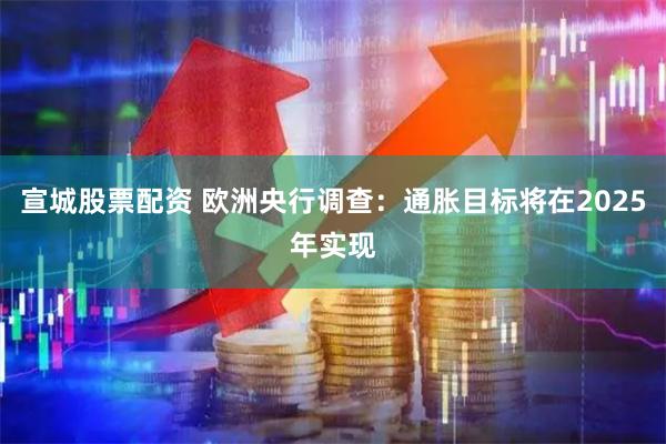 宣城股票配资 欧洲央行调查：通胀目标将在2025年实现