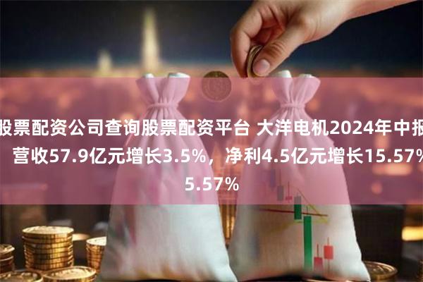 股票配资公司查询股票配资平台 大洋电机2024年中报：营收57.9亿元增长3.5%，净利4.5亿元增长15.57%