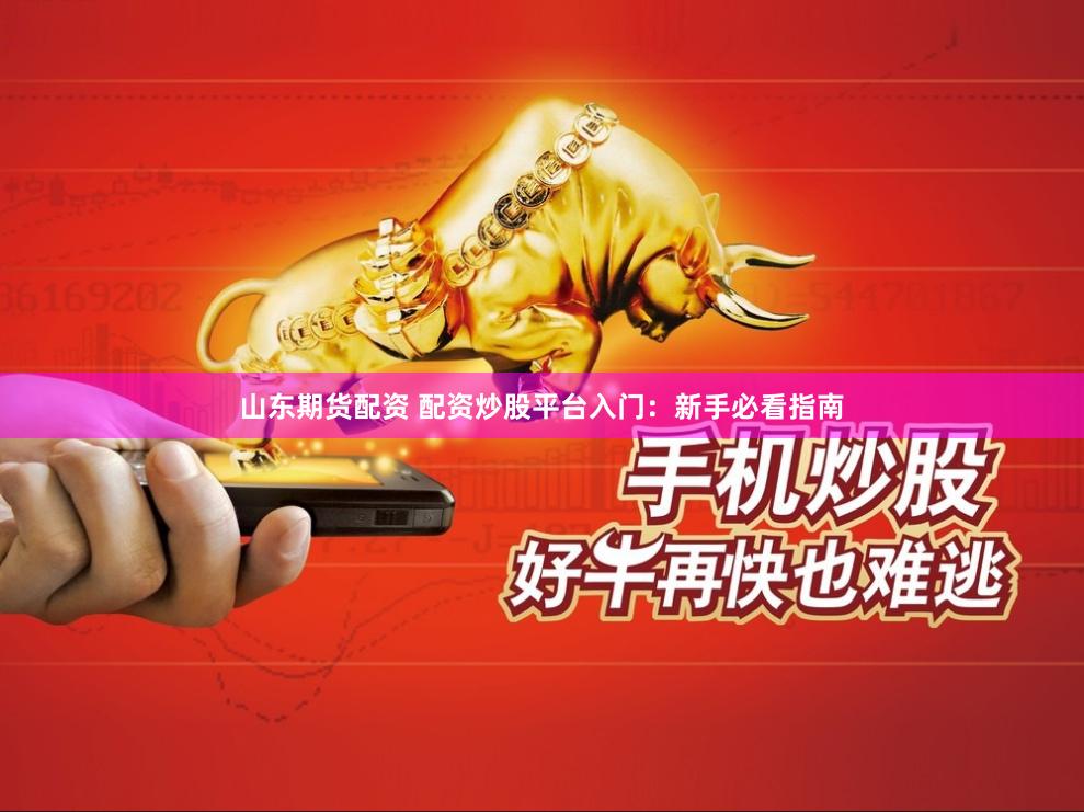 山东期货配资 配资炒股平台入门：新手必看指南