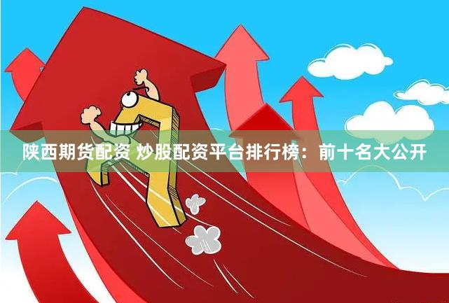陕西期货配资 炒股配资平台排行榜：前十名大公开